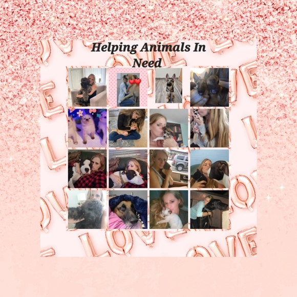 Meet your Posher, Bryn - Picture 3 of 17